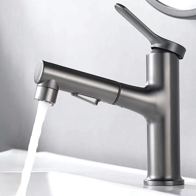 Avtoit | Contemporary Style Faucet Single Lever Mixer with Swivel Spout