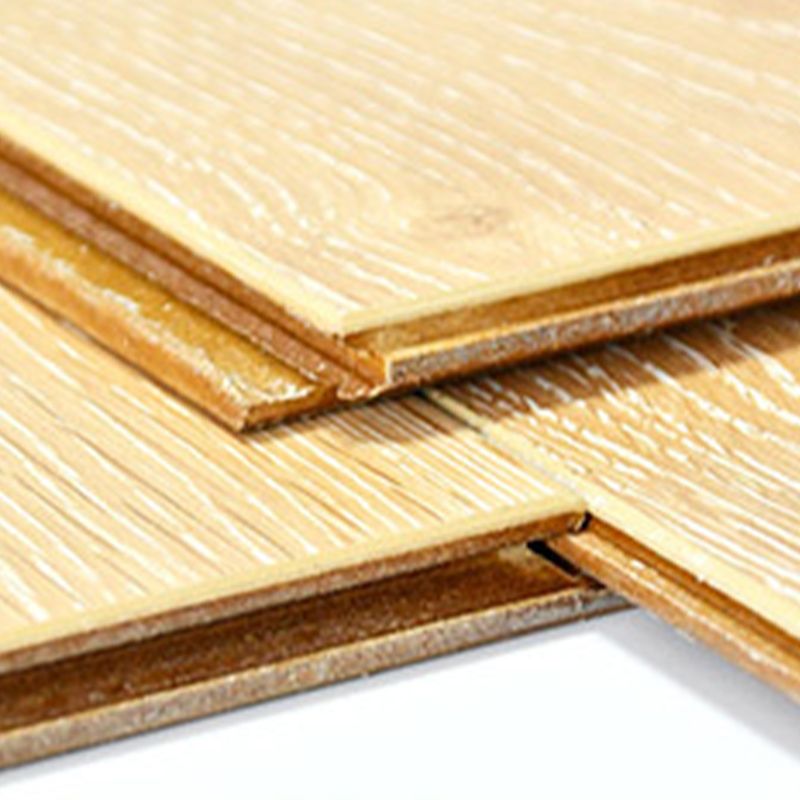 Avtoit | Modern Wood Laminate Flooring Stain Resistant Laminate Plank Floor