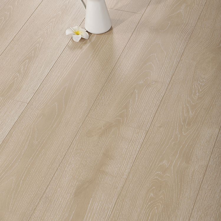 Avtoit | Contemporary Laminate Floor Light Color Wood Laminate Floor