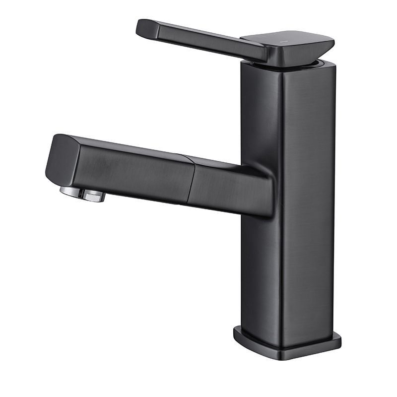 Avtoit | Glam Style Faucet Single Handle Centerset Faucet with Swivel Spout