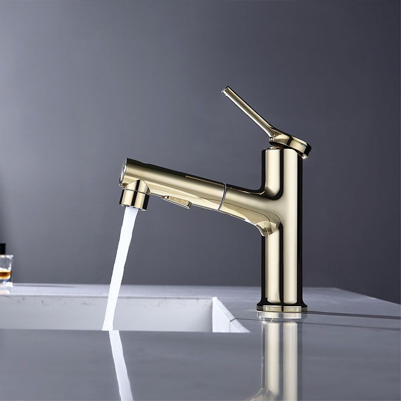 Avtoit | Contemporary Single Handle Faucet Retractable Sink Faucet with Lever Handle