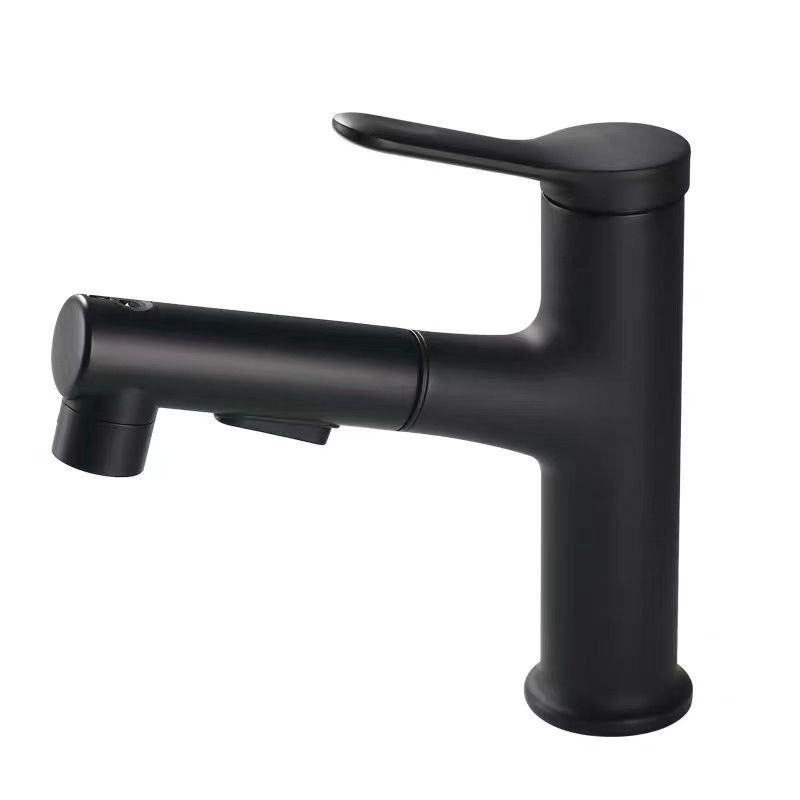 Avtoit | Contemporary Sink Faucet Simple Low Arc Copper Sink Faucet