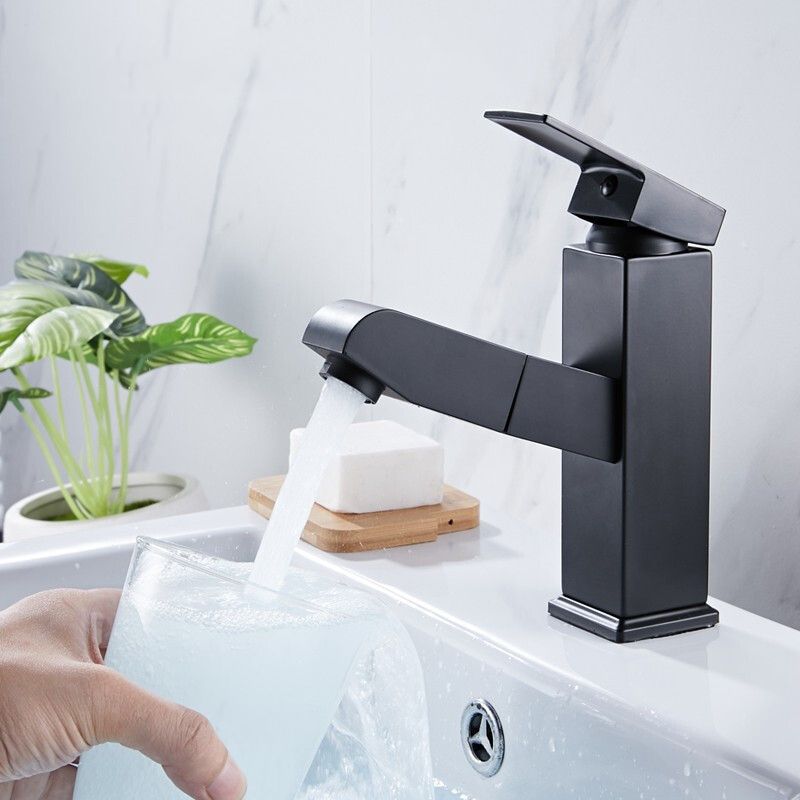 Avtoit | Contemporary Style Faucets Single Handle Swivel Spout Faucets