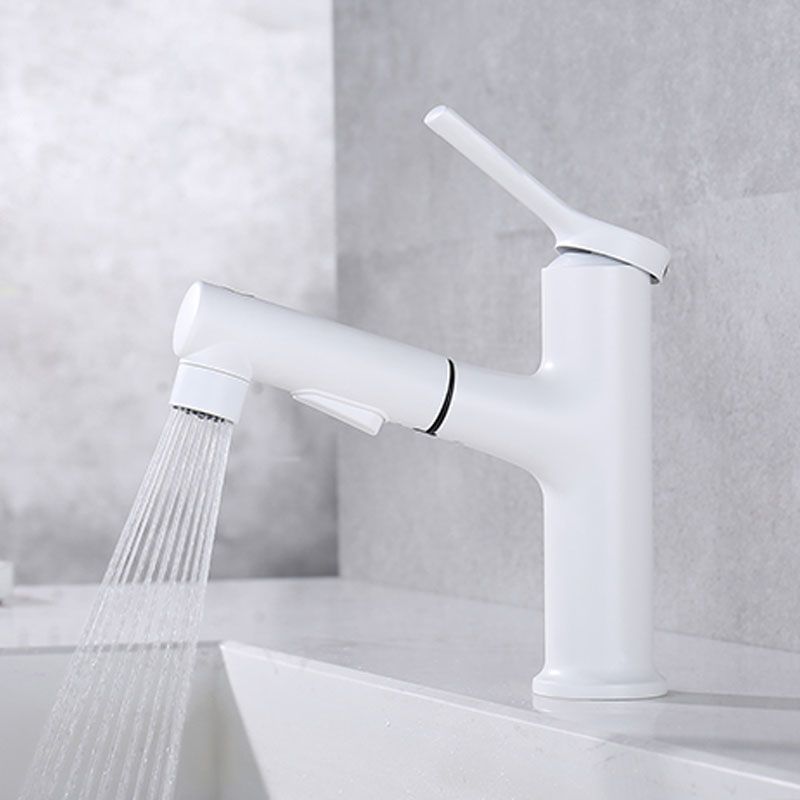 Avtoit | Contemporary Single Handle Faucet Retractable Sink Faucet with Lever Handle