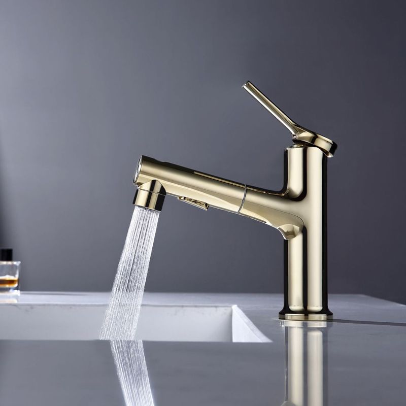 Avtoit | Modern Sink Faucet Copper Single Handle Low Arc Pull-Out Sink Faucet