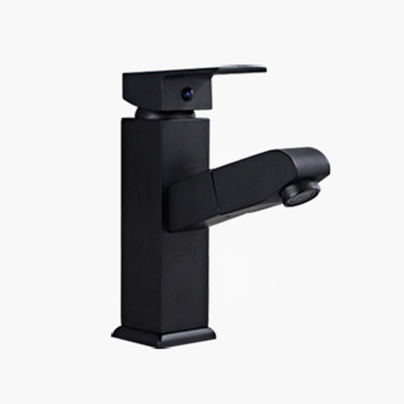 Avtoit | Contemporary Style Faucets Single Handle Swivel Spout Faucets