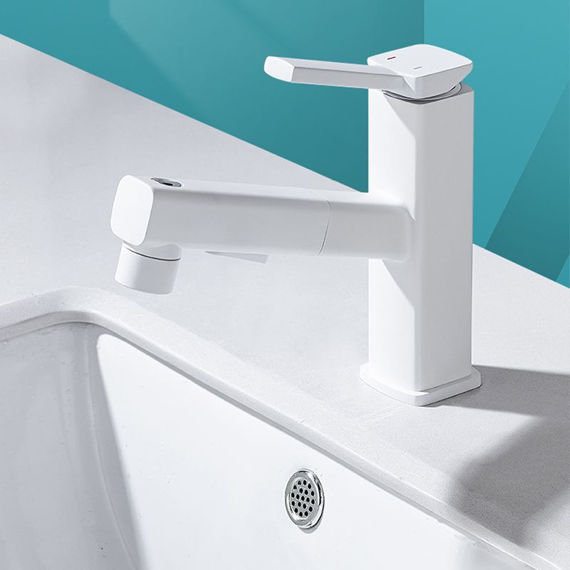Avtoit | Lever Handle Faucet Pull-Out Basin Faucet with Swivel Spout
