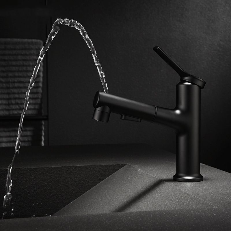 Avtoit | Modern Sink Faucet Copper Single Handle Low Arc Pull-Out Sink Faucet