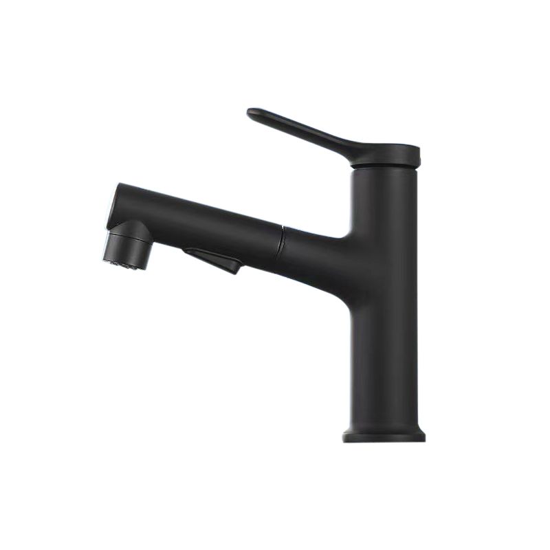 Avtoit | Vessel Sink Faucet Contemporary Pull-out Tap with Swivel Spout