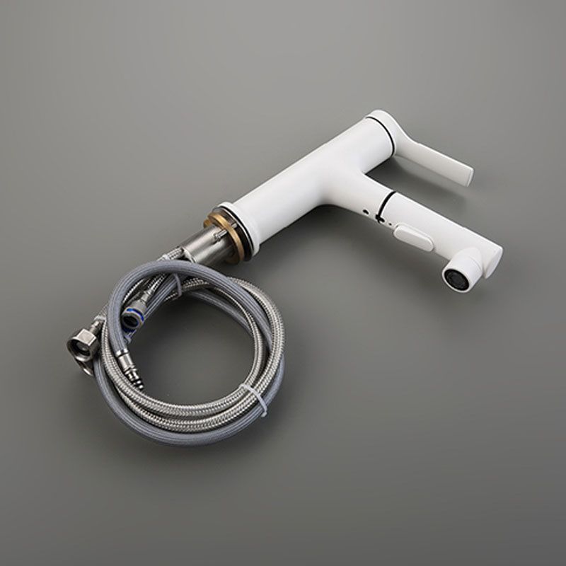 Avtoit | Contemporary Single Handle Faucet Retractable Sink Faucet with Lever Handle