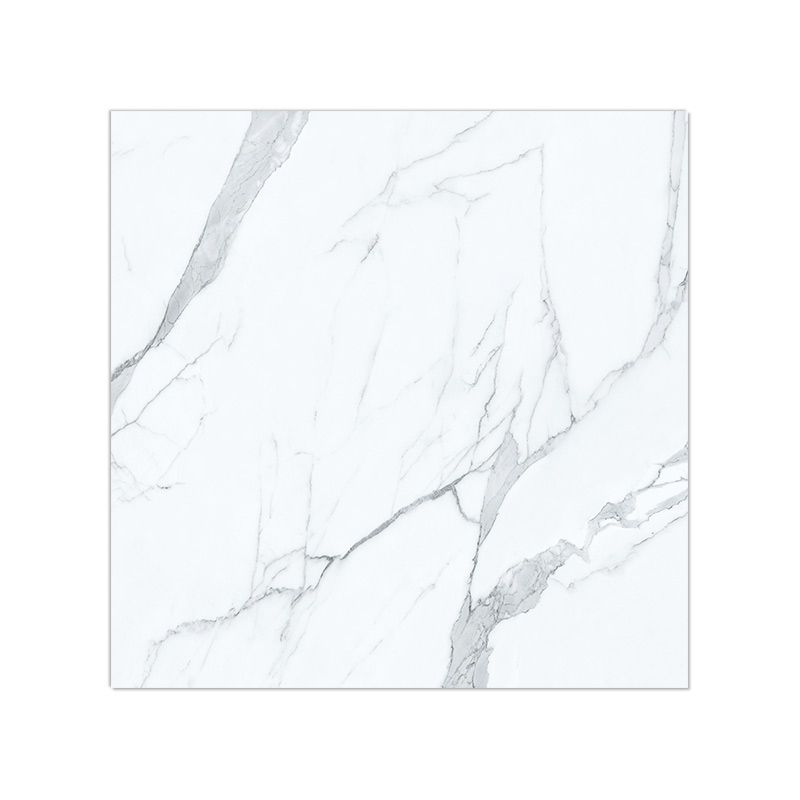 Avtoit | Peel and Stick Vinyl Flooring High Gloss PVC Floor Covering with Square Edge