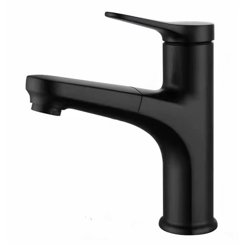Avtoit | Contemporary Style Faucet Single Lever Mixer with Swivel Spout