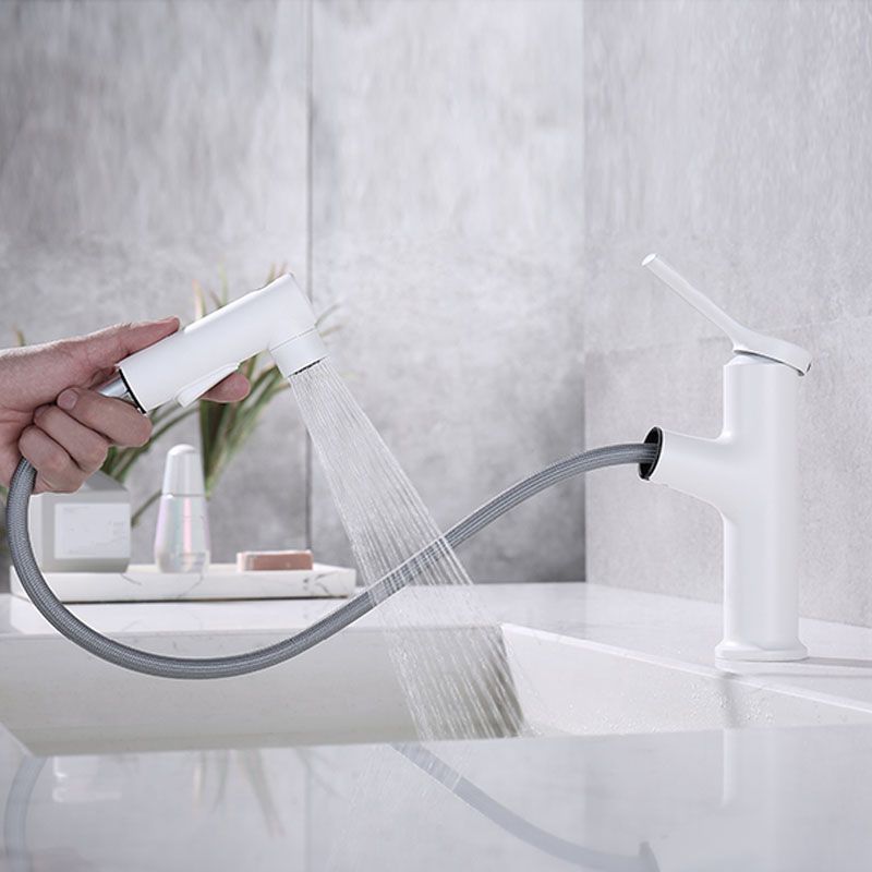 Avtoit | Contemporary Single Handle Faucet Retractable Sink Faucet with Lever Handle