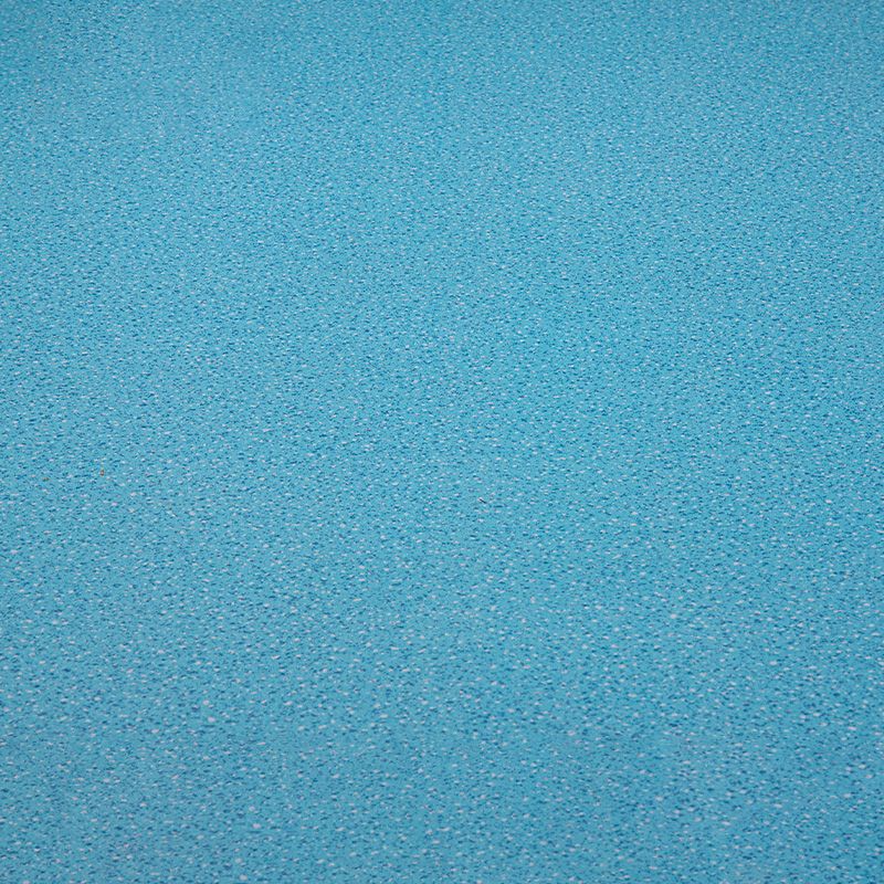 Avtoit | Indoor Flooring Peel and Stick Coiled PVC 200cm Waterproof Vinyl Flooring