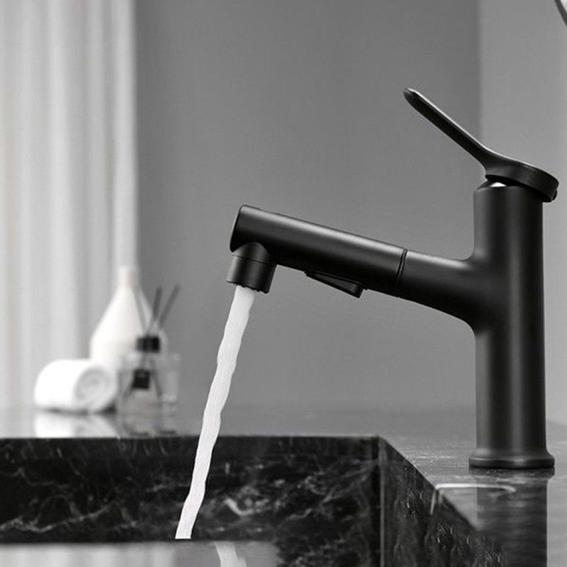 Avtoit | Contemporary Style Faucet Single Lever Mixer with Swivel Spout
