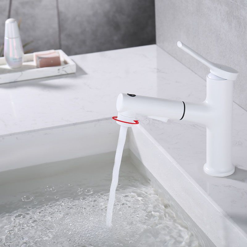 Avtoit | Contemporary Single Handle Faucet Retractable Sink Faucet with Lever Handle