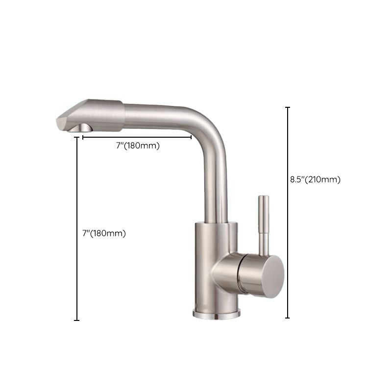 Avtoit | Swivel Bathroom Faucet Contemporary Design Vessel Faucet with Stainless Steel
