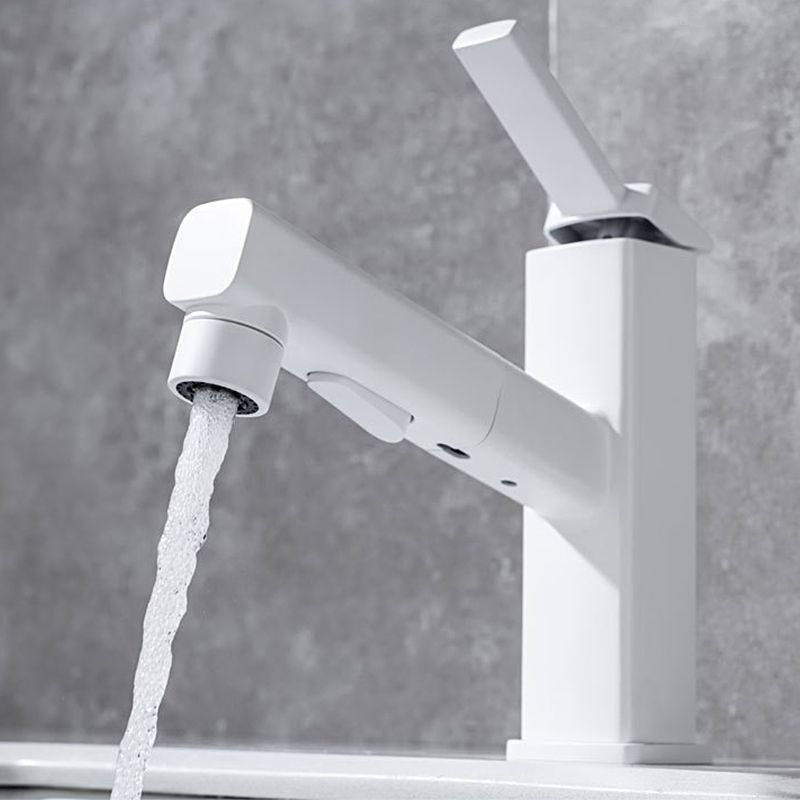 Avtoit | Lever Handle Faucet Pull-Out Basin Faucet with Swivel Spout