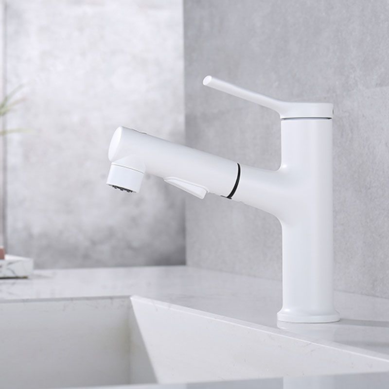 Avtoit | Contemporary Single Handle Faucet Retractable Sink Faucet with Lever Handle