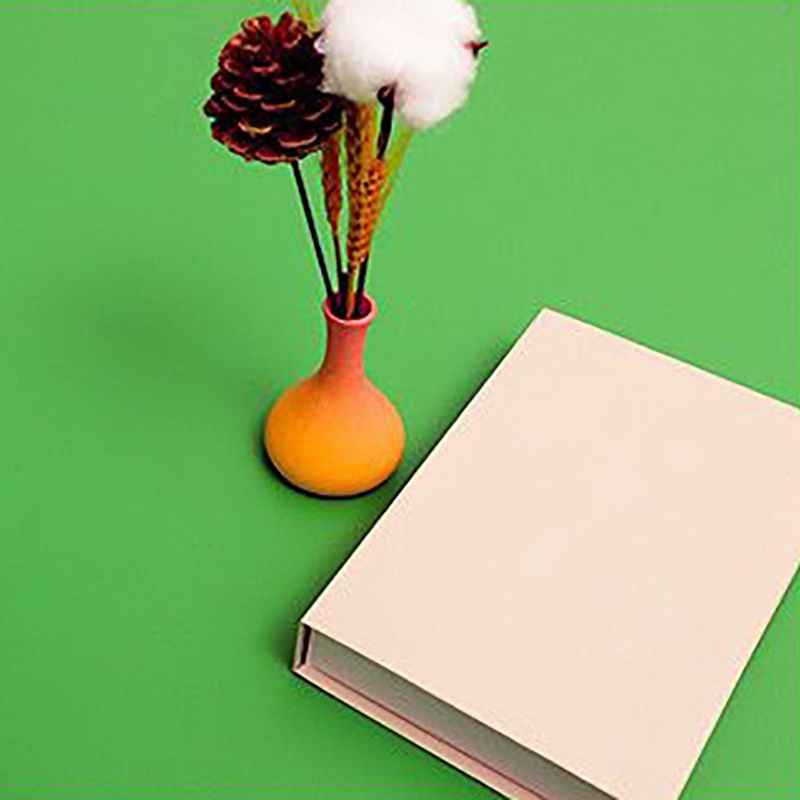 Avtoit | Waterproof PVC flooring in solid color, self-adhesive, scratch-resistant PVC flooring