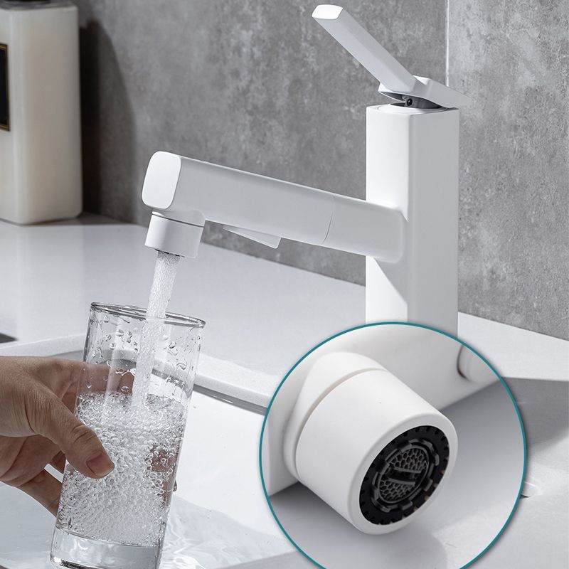 Avtoit | Lever Handle Faucet Pull-Out Basin Faucet with Swivel Spout