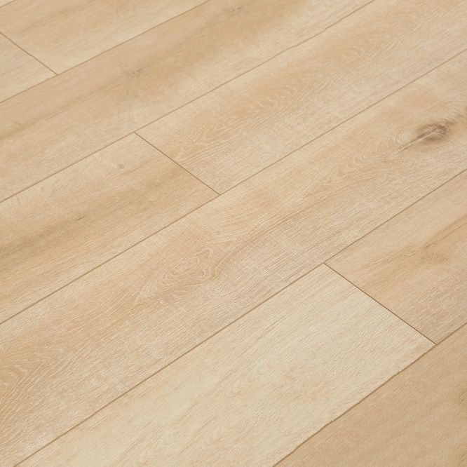Avtoit | Contemporary Laminate Flooring Light Color Wood Laminate Flooring