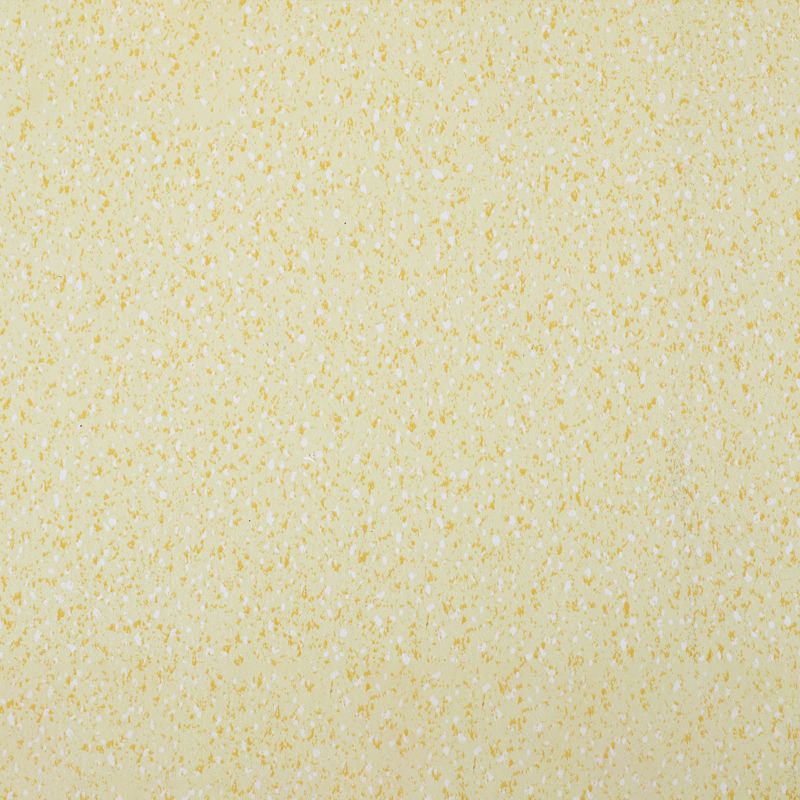 Avtoit | Indoor Flooring Peel and Stick Coiled PVC 200cm Waterproof Vinyl Flooring
