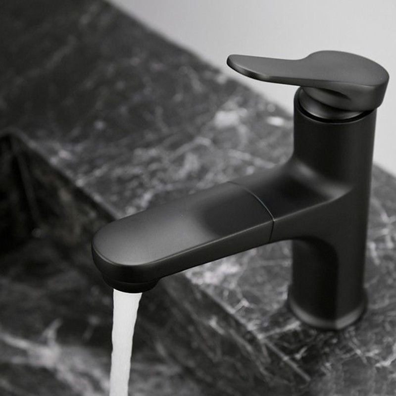 Avtoit | Contemporary Style Faucet Single Lever Mixer with Swivel Spout