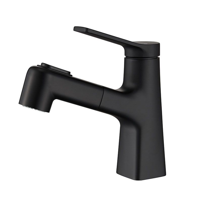 Avtoit | Contemporary Vessel Faucet Metal Single Handle Low Arc Vessel Faucet for the Bathroom
