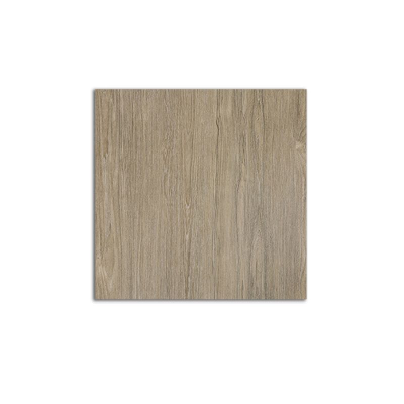Avtoit | Modern Peel and Stick Tiles PVC Wood Look Stain Resistant Vinyl Plank