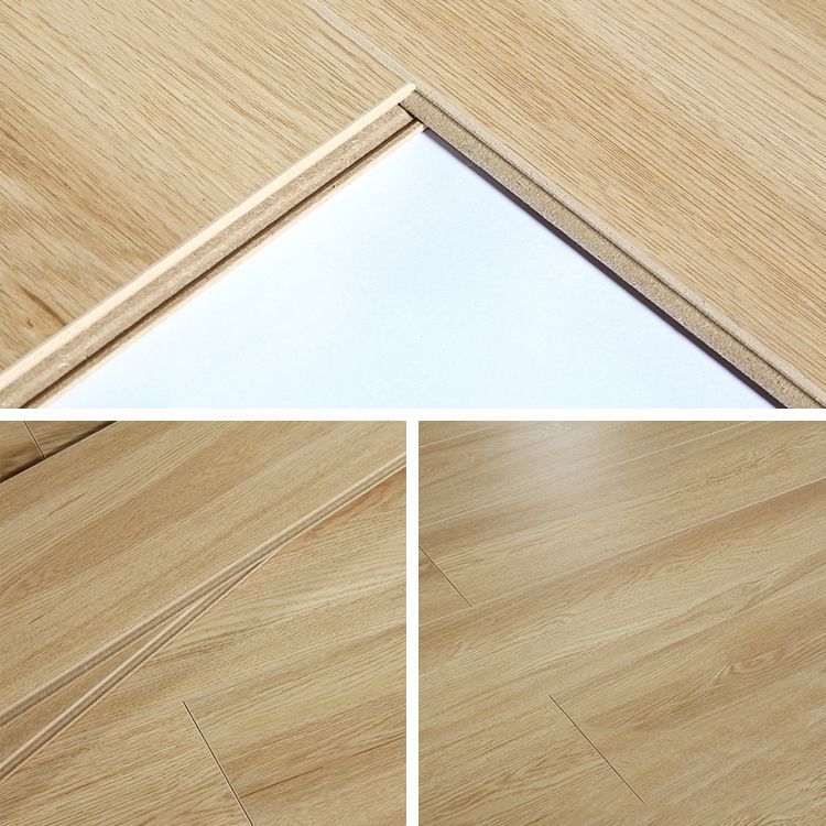Avtoit | Contemporary Laminate Flooring Light Color Wood Laminate Flooring