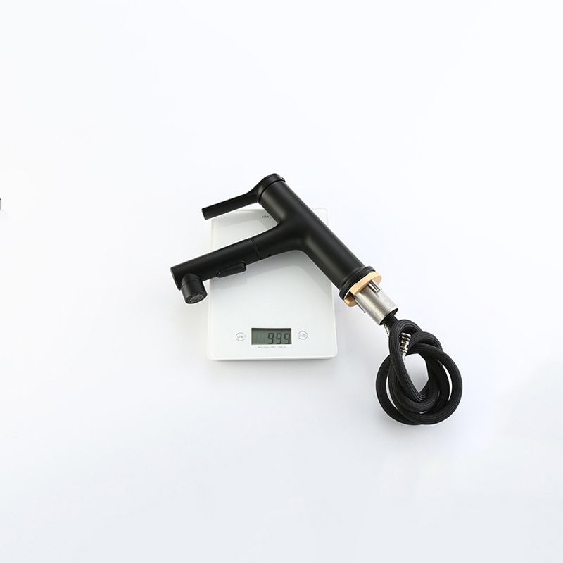 Avtoit | Modern Sink Faucet Copper Single Handle Low Arc Pull-Out Sink Faucet