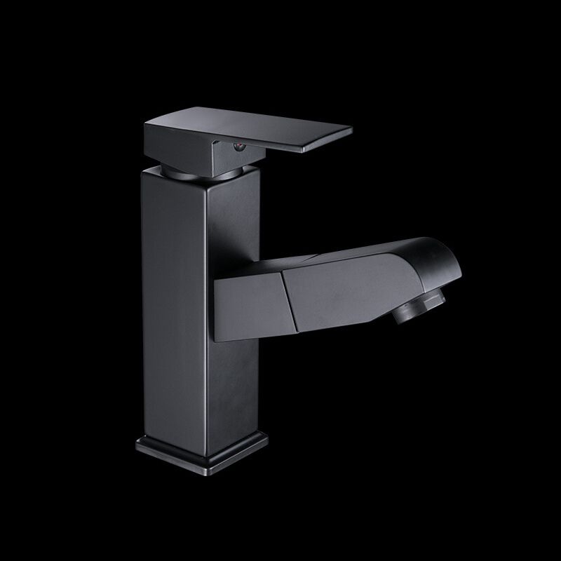 Avtoit | Contemporary Style Faucets Single Handle Swivel Spout Faucets