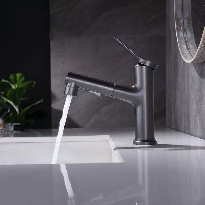 Avtoit | Contemporary Single Handle Faucet Retractable Sink Faucet with Lever Handle