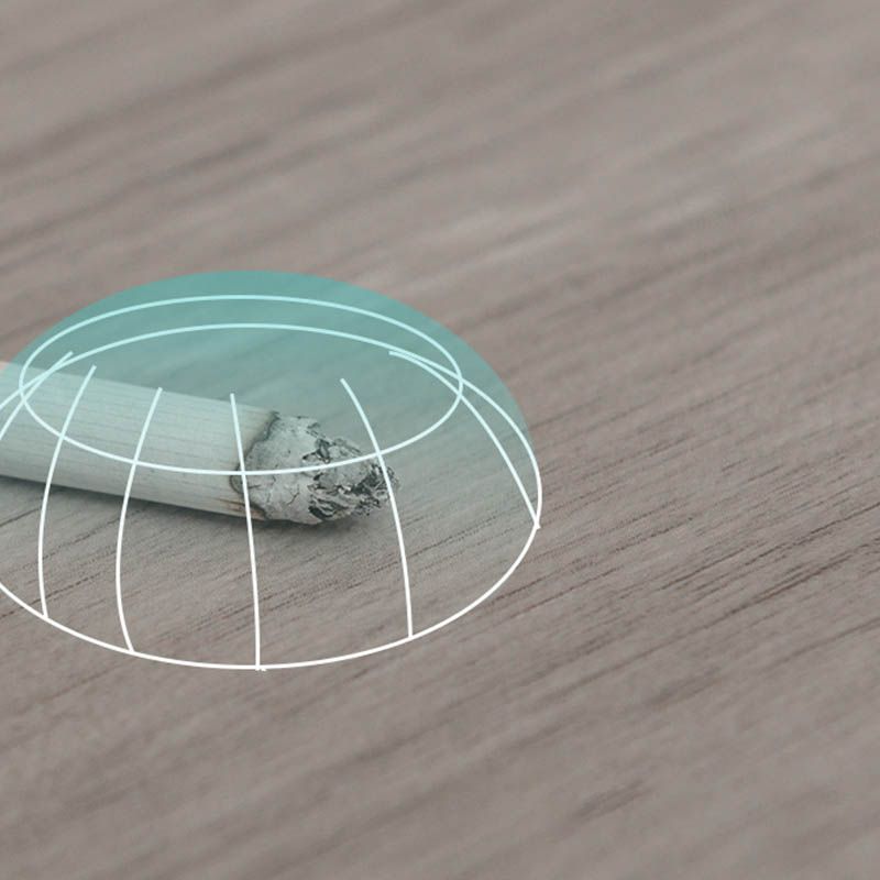 Avtoit | Wood look PVC flooring Waterproof Fire resistant Smooth PVC flooring