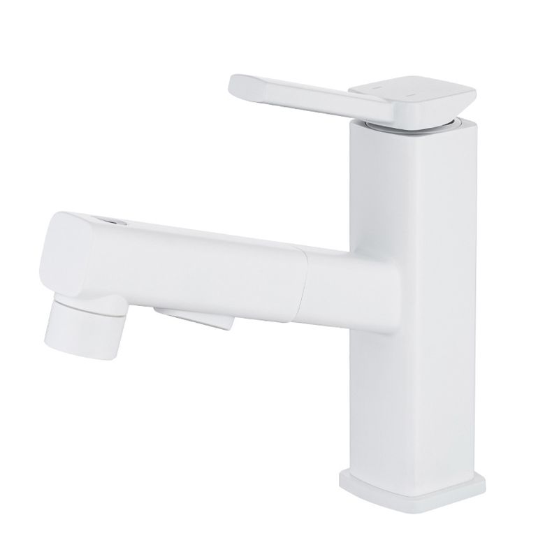 Avtoit | Lever Handle Faucet Pull-Out Basin Faucet with Swivel Spout