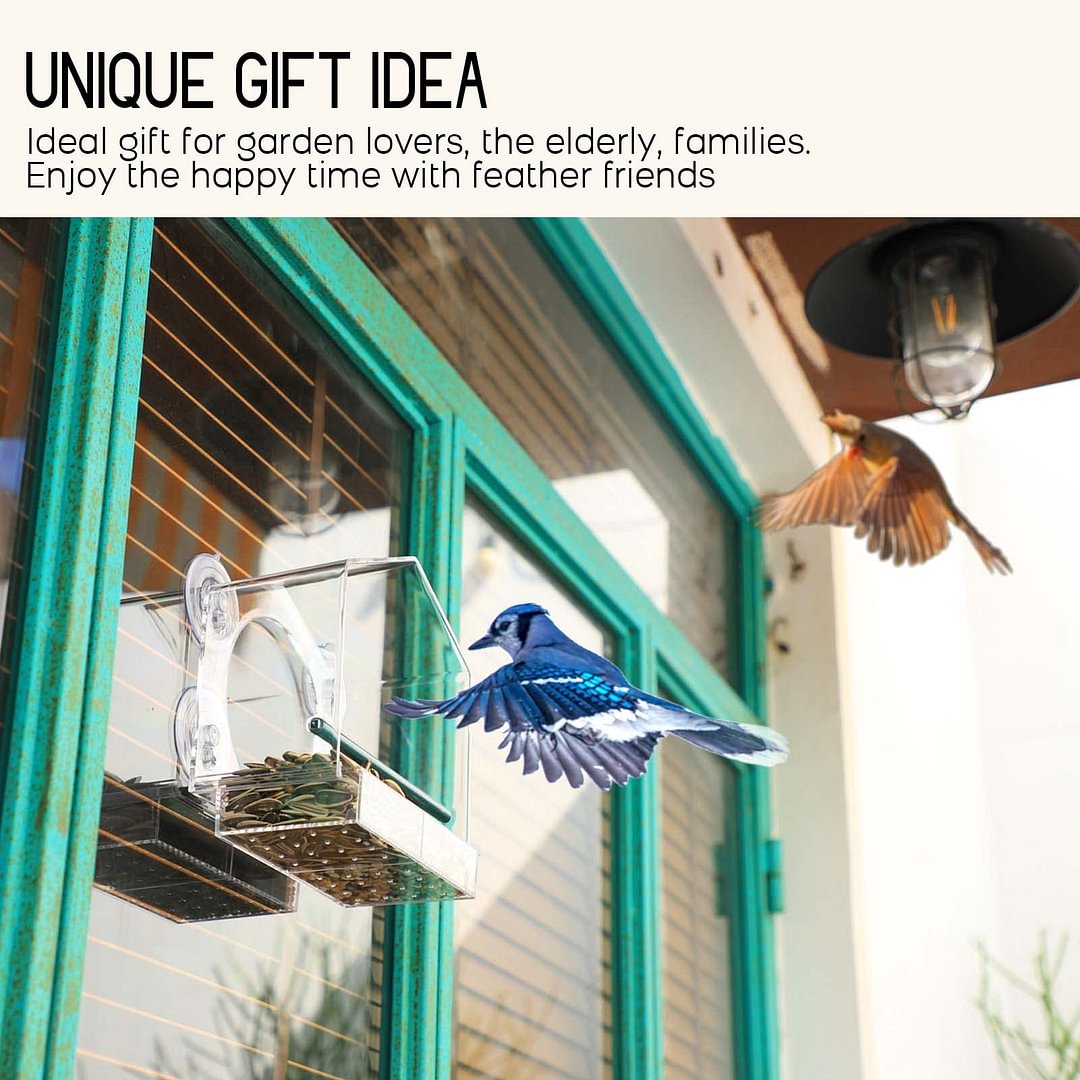 Avtoit | Bird feeder in the window for outdoor use