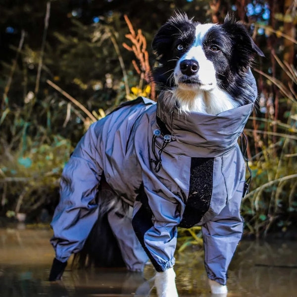 Avtoit | Waterproof Dog Coat with Legs – Reflective Dog Rain Jacket for Small & Large Breeds | Best Rain Coat for Dogs UK