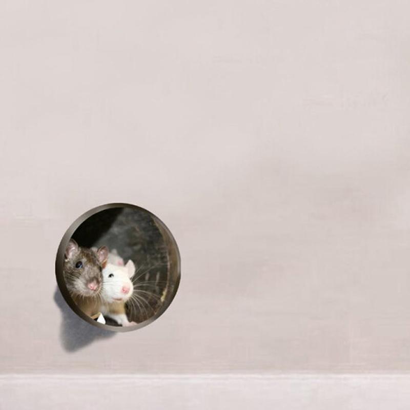 Avtoit | Realistic 3D Mouse Hole Wall Sticker