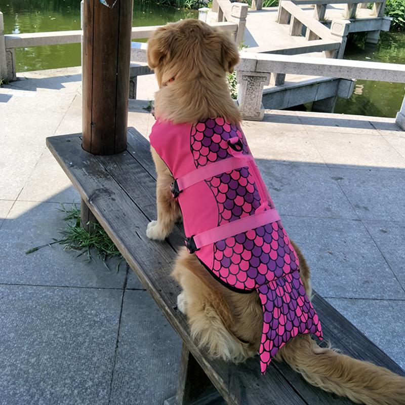 Avtoit | Dog Swim Safety Jacket