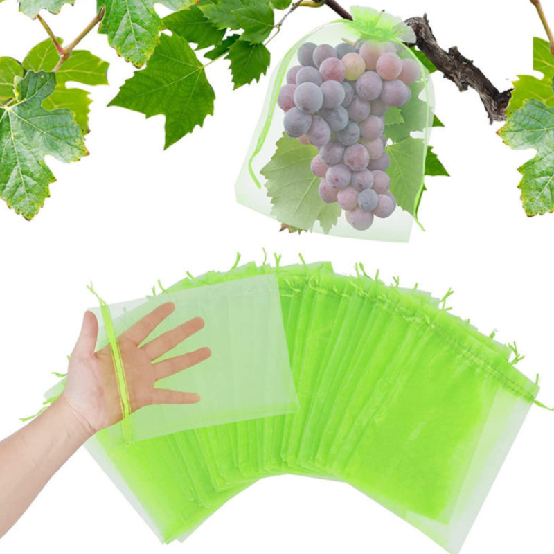 Avtoit | Fruit Protection Bag (100 PCS)