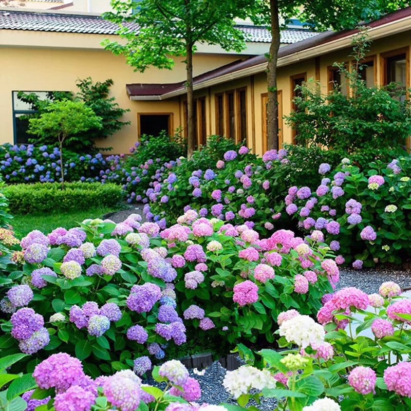 Avtoit | Outdoor Artificial Hydrangea Flowers