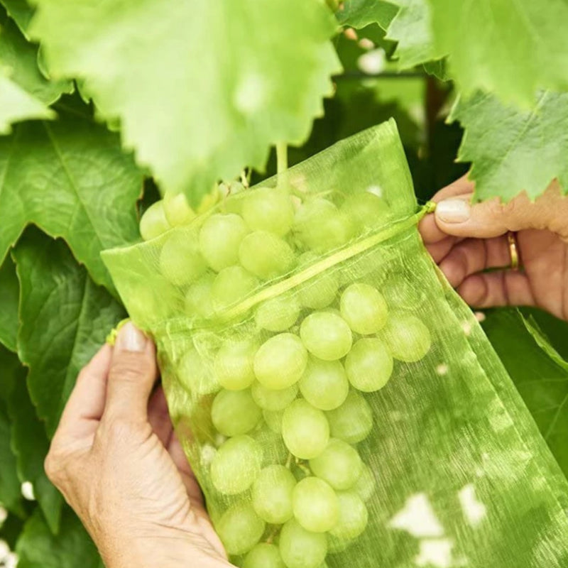 Avtoit | Fruit Protection Bag (100 PCS)