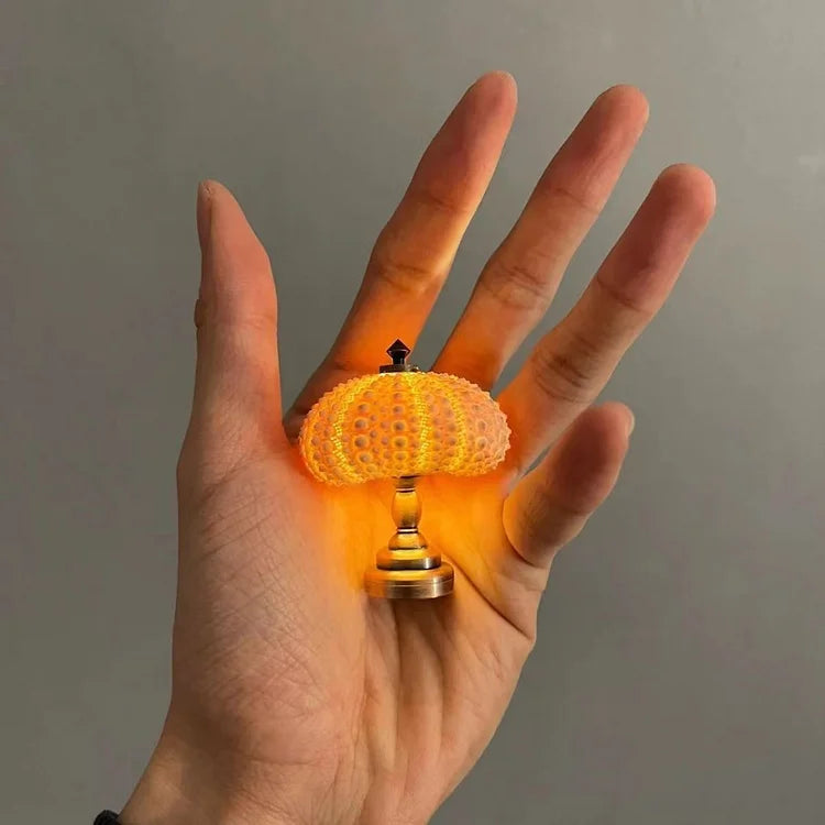 Avtoit | LumiCraft – Unique DIY table lamp with natural sea shell for a cozy décor