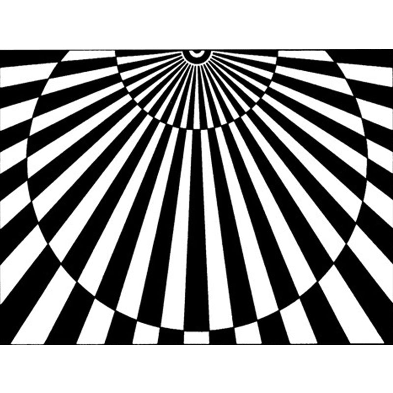 Avtoit | Novelty Living Room Rug in Black and White 3D Half Circle Stripe Print Rug Polyester Pet Friendly Washable Area Rug