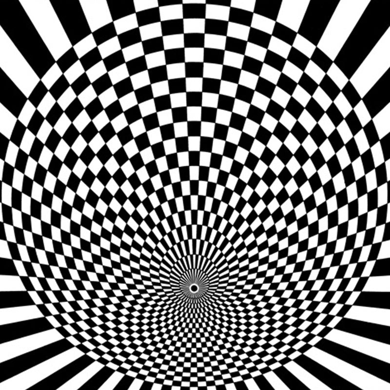 Avtoit | Black-and-white bedroom rug novelty 3D small check pattern carpet polyester non-slip pet-friendly rug
