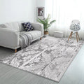 Avtoit | Classic Paisley Pattern Rug Gray Vintage Rug Polyester Washable Non-Slip Back Rug for Bedroom