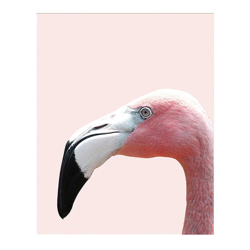 Avtoit | Head of Flamingo Canvas Print Tropical Texture Family Room Wall Art in Pink