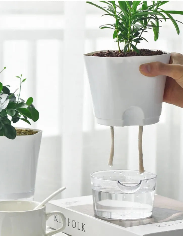 Avtoit | Plant pot with water reservoir – Self-watering flower pot for houseplants