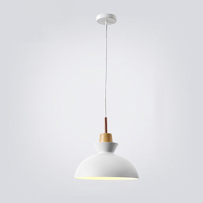 Avtoit | AuroraLite Nordic Pendant Light | Metal Design | 1-Light | Modern Color Options